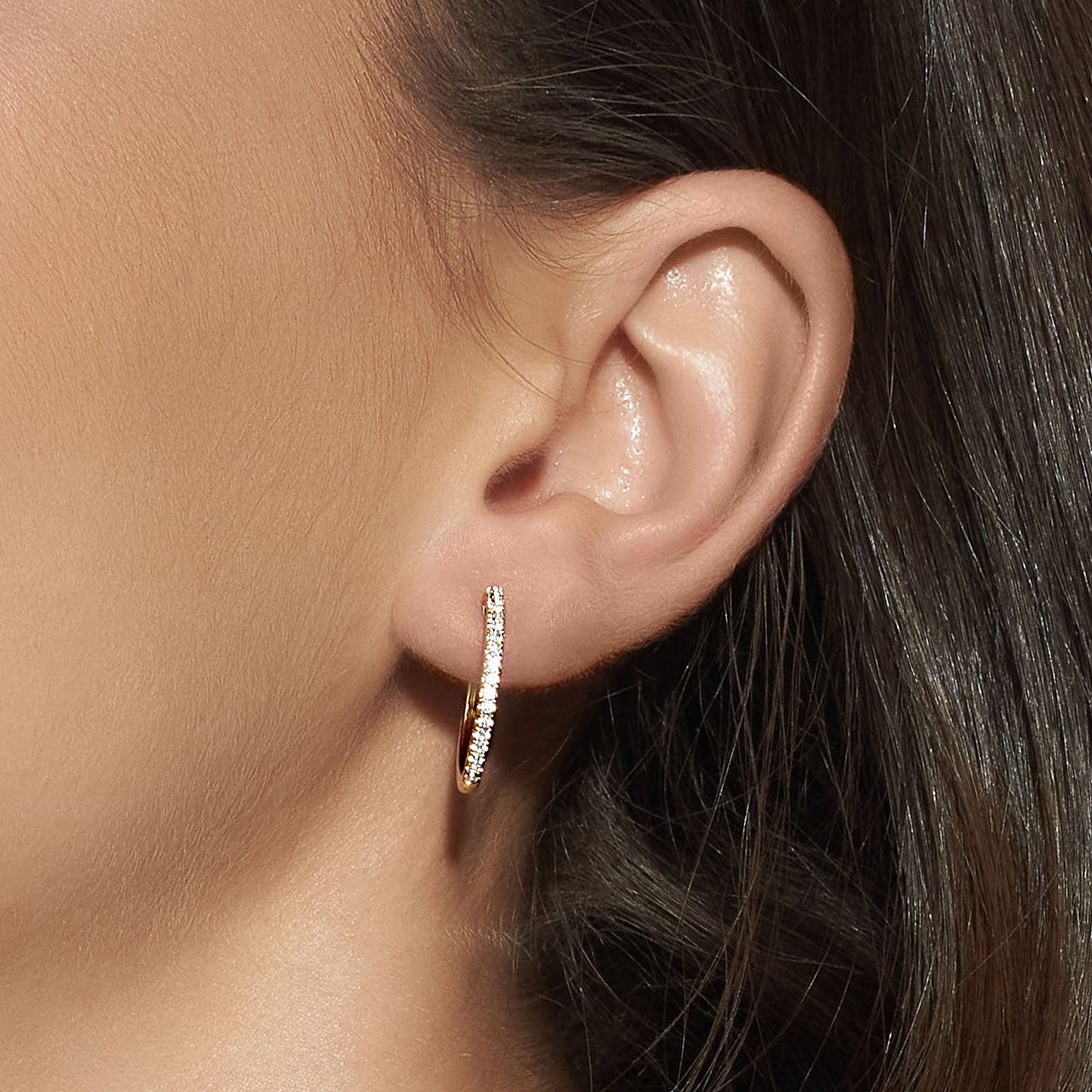 Diamond Arc Hoops_Product Angle_PCP Hover Image
