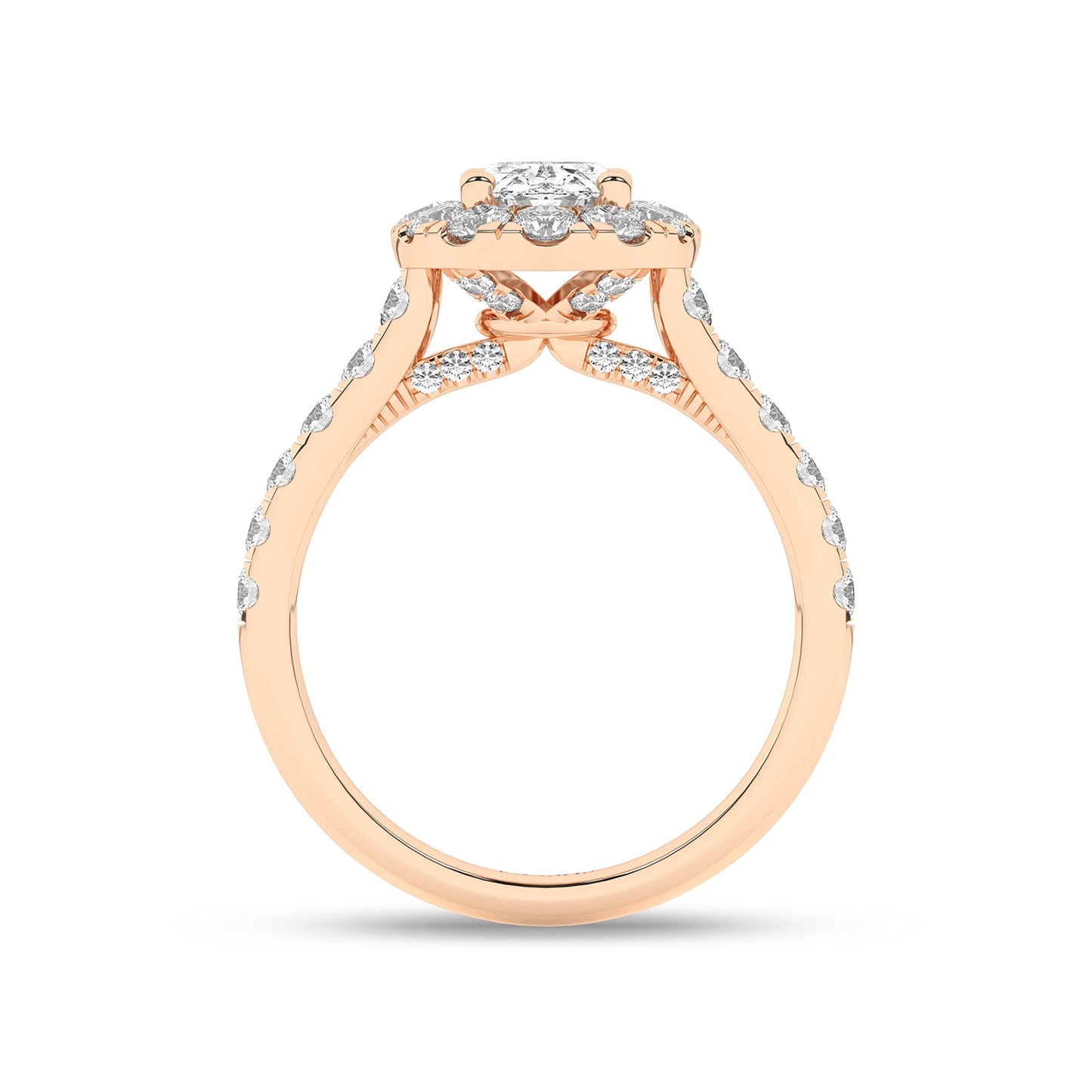 Signature Ellipse Halo Ring