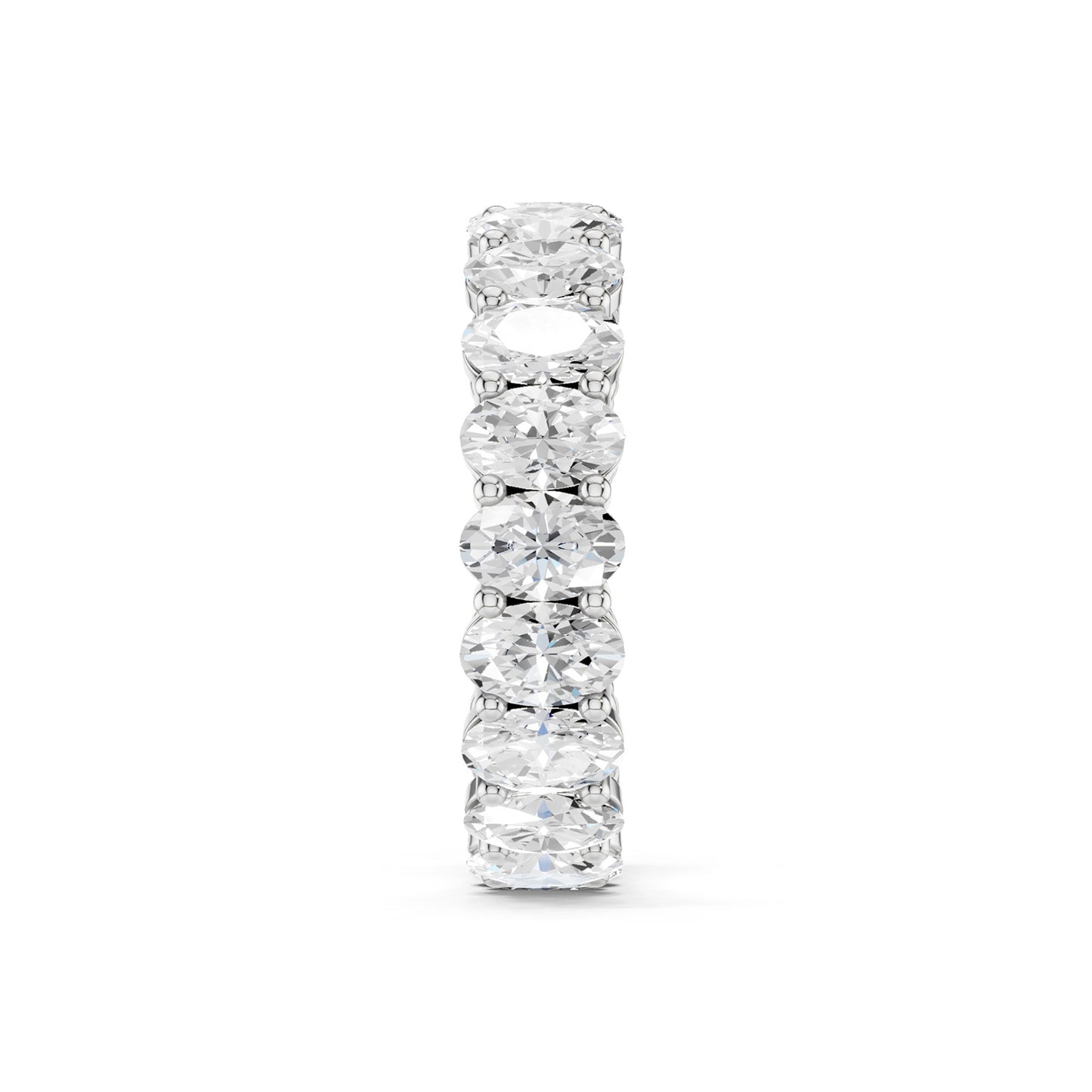 Ellipse Eternal Band