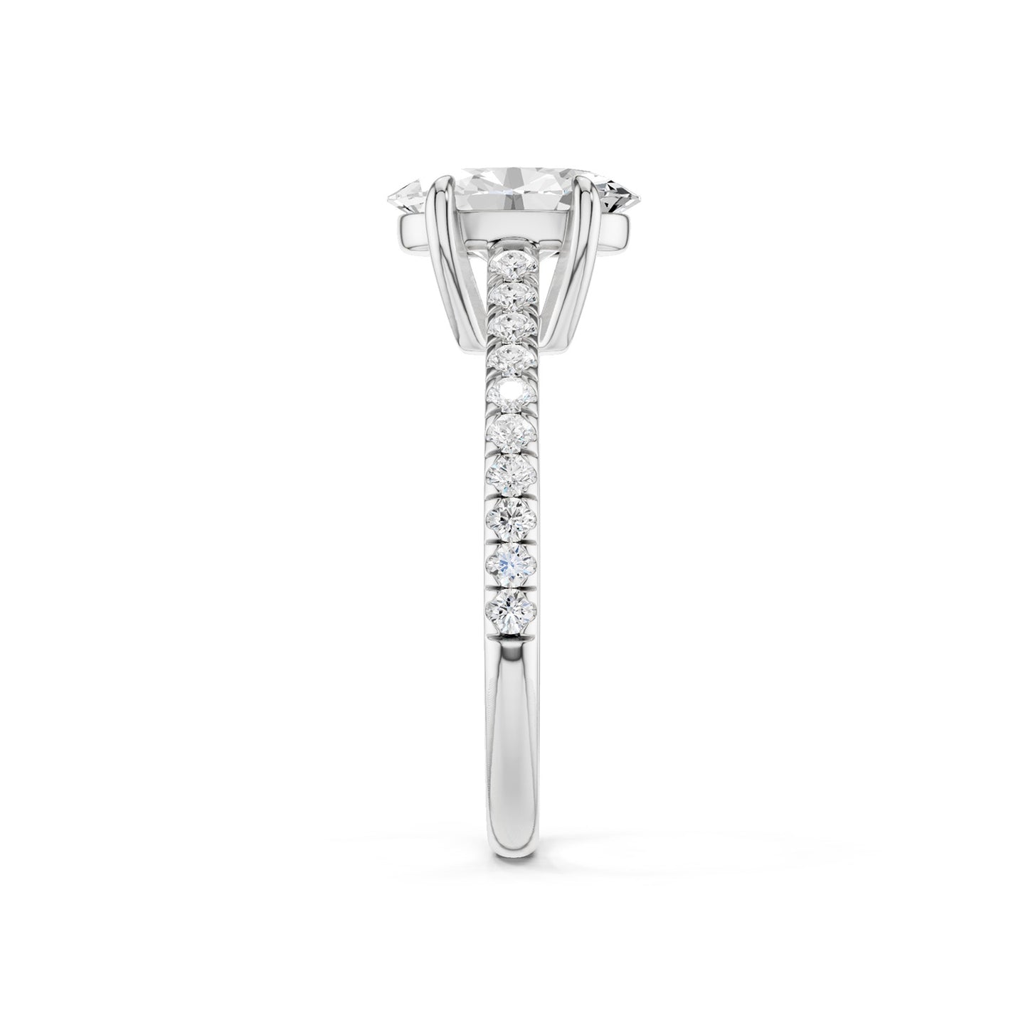 Ellipse Signature Ring