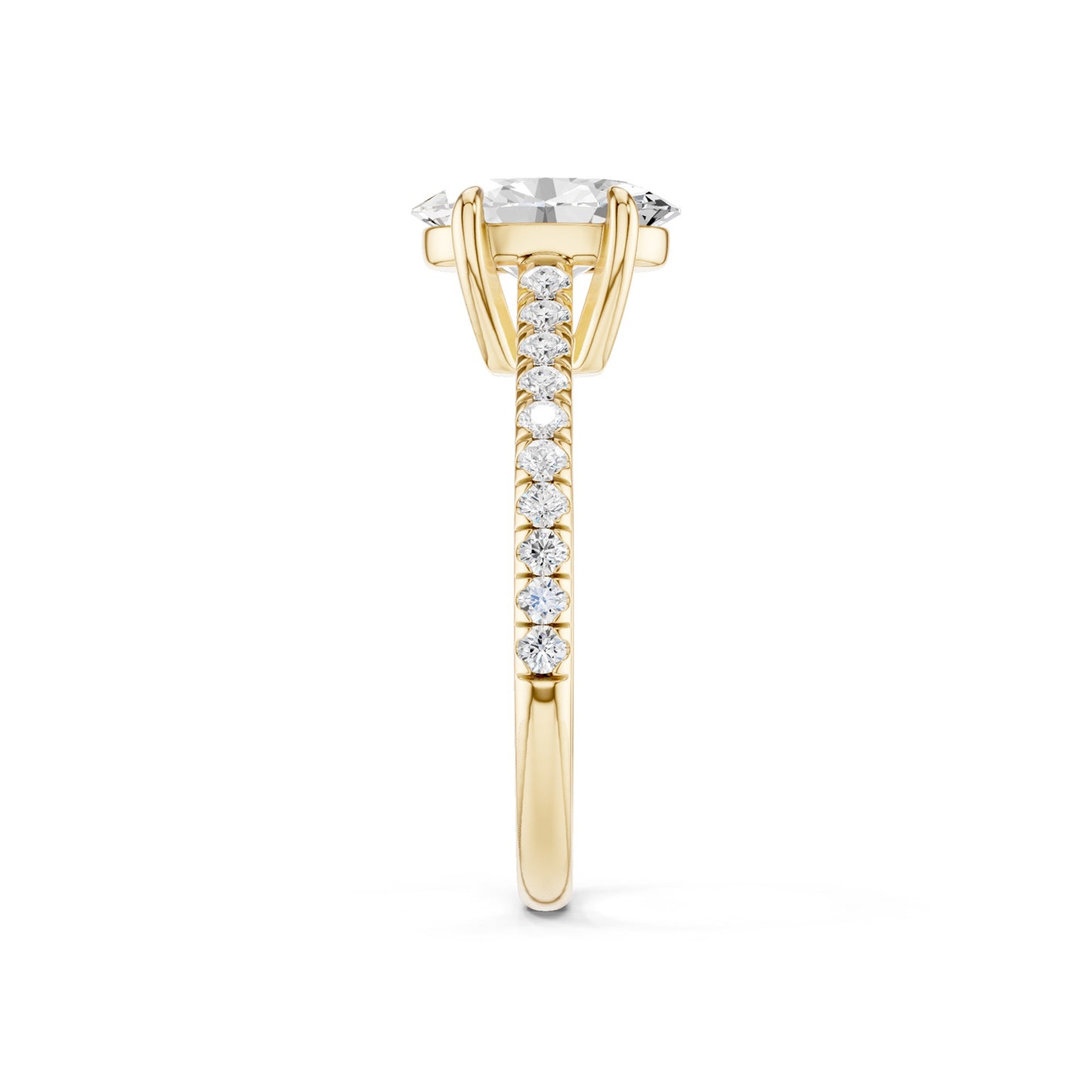 Ellipse Signature Ring
