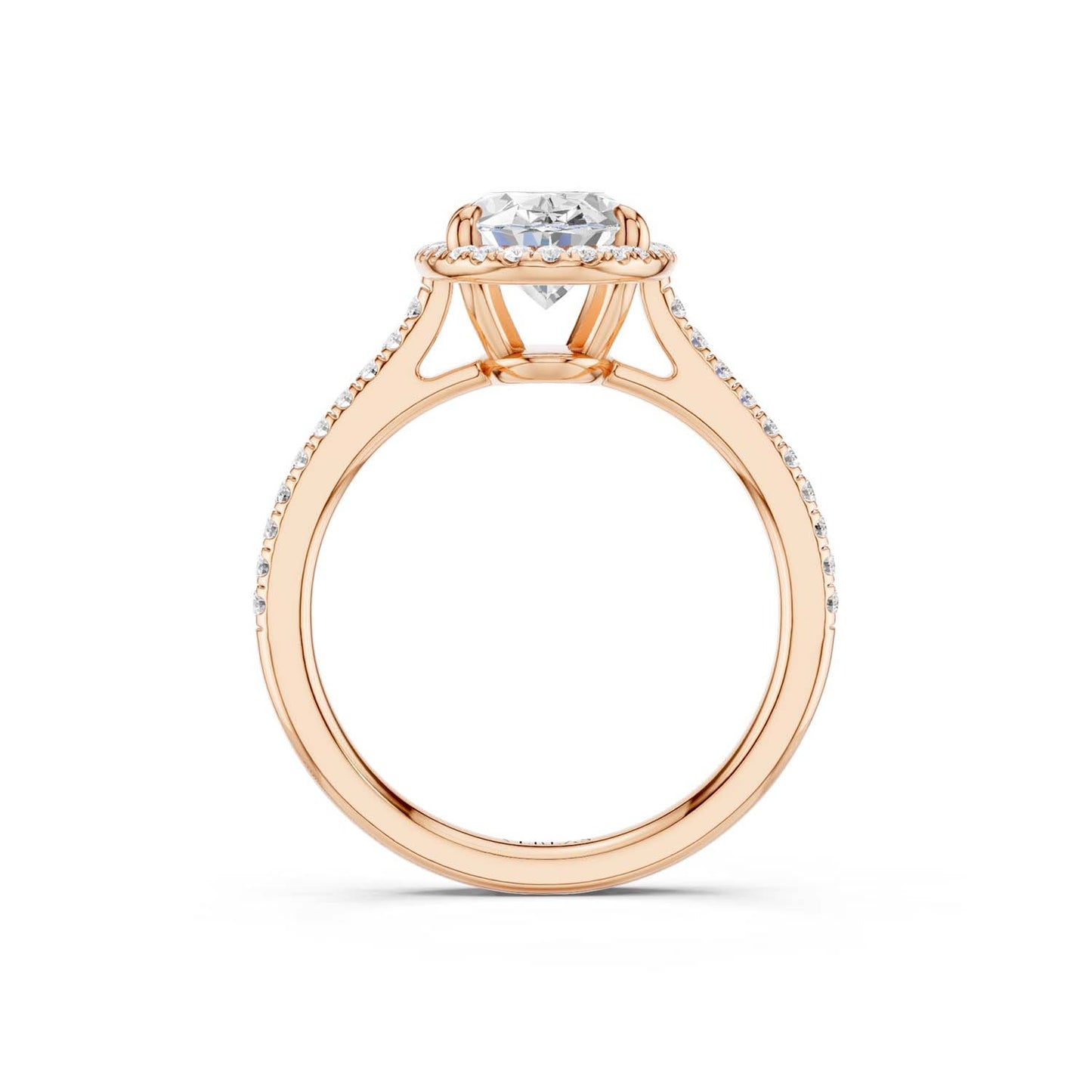 Ellipse Signature Halo Ring