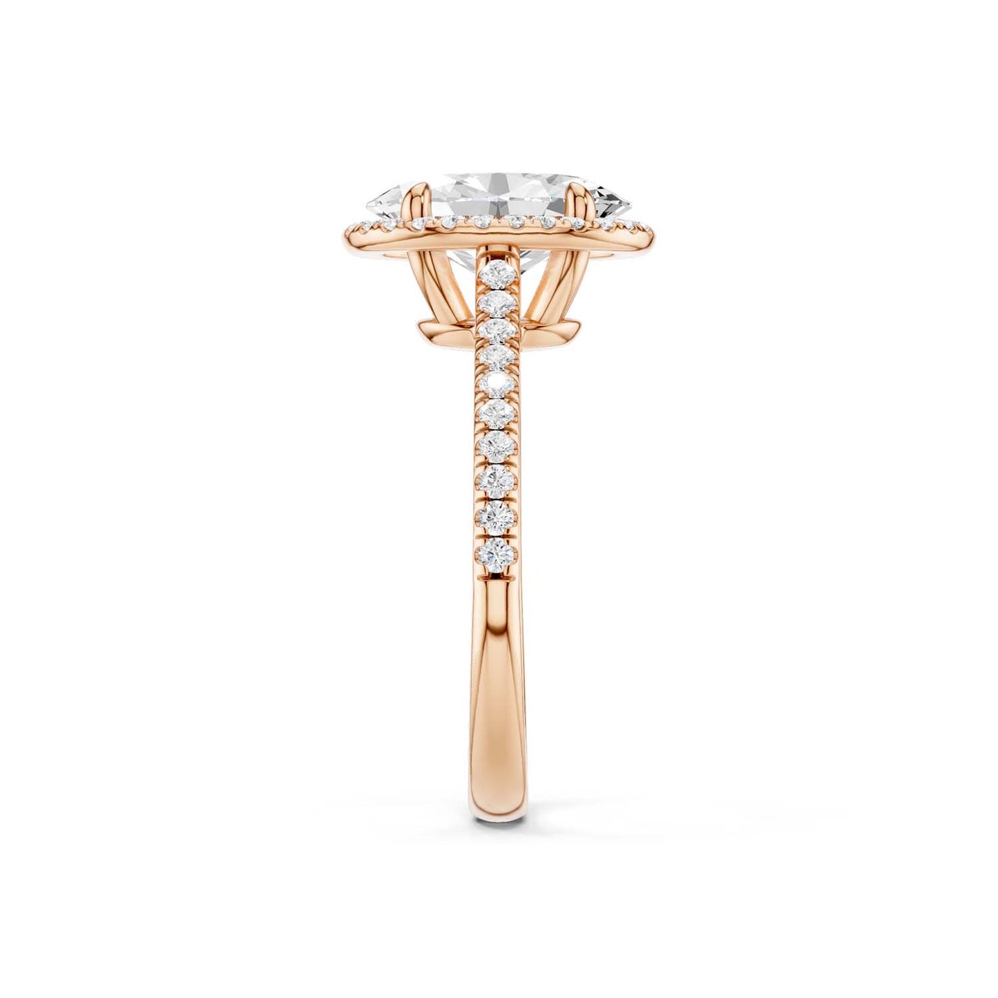 Ellipse Signature Halo Ring