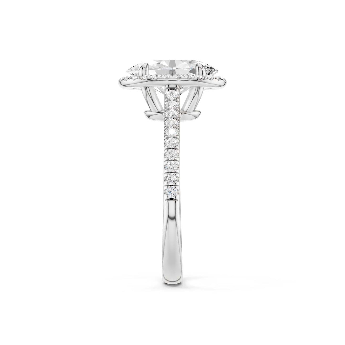 Ellipse Signature Halo Ring