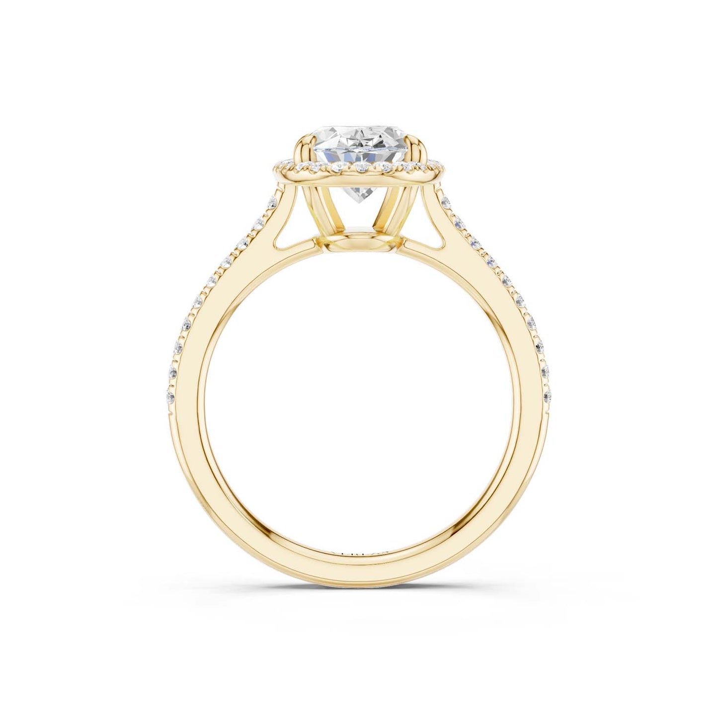 Ellipse Signature Halo Ring