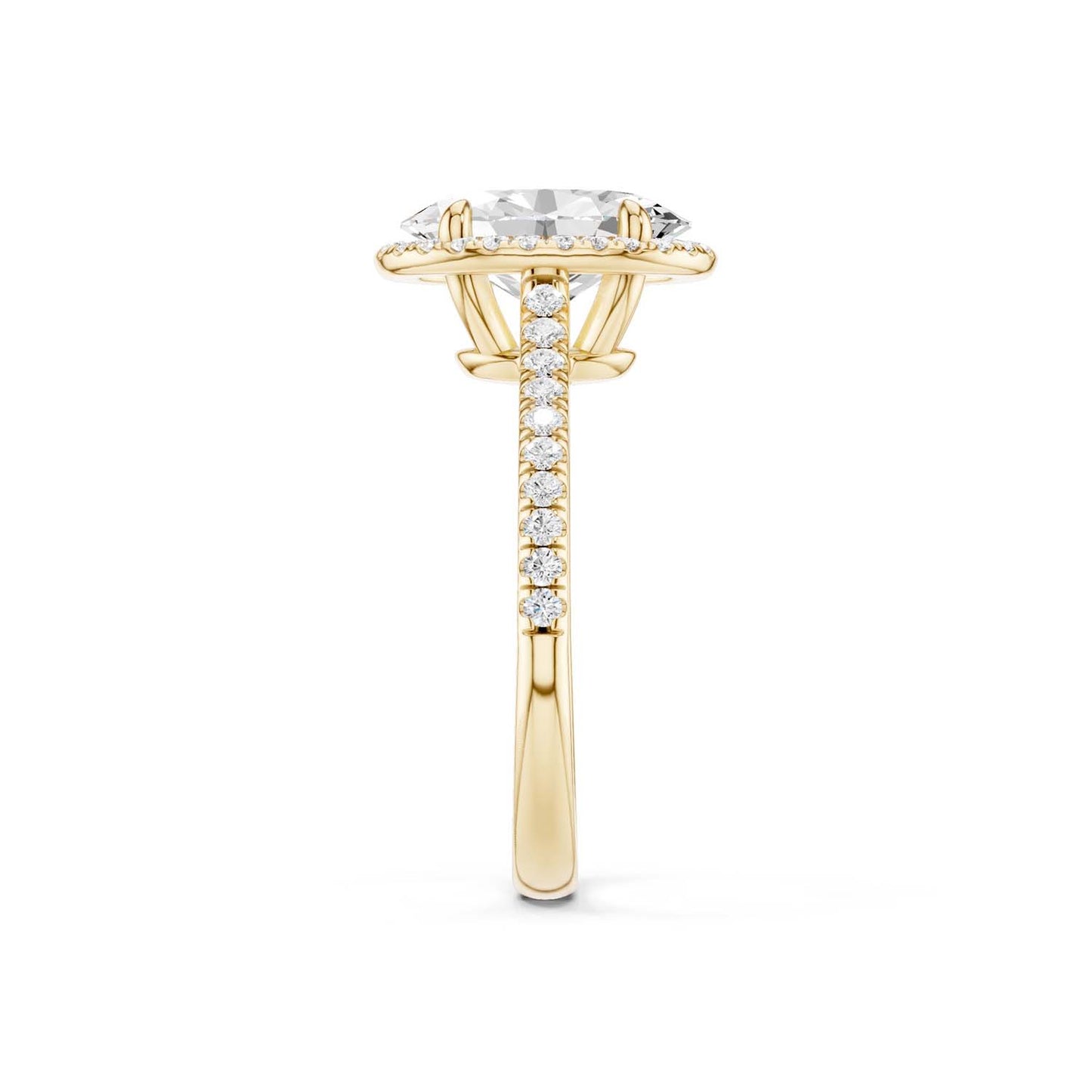 Ellipse Signature Halo Ring