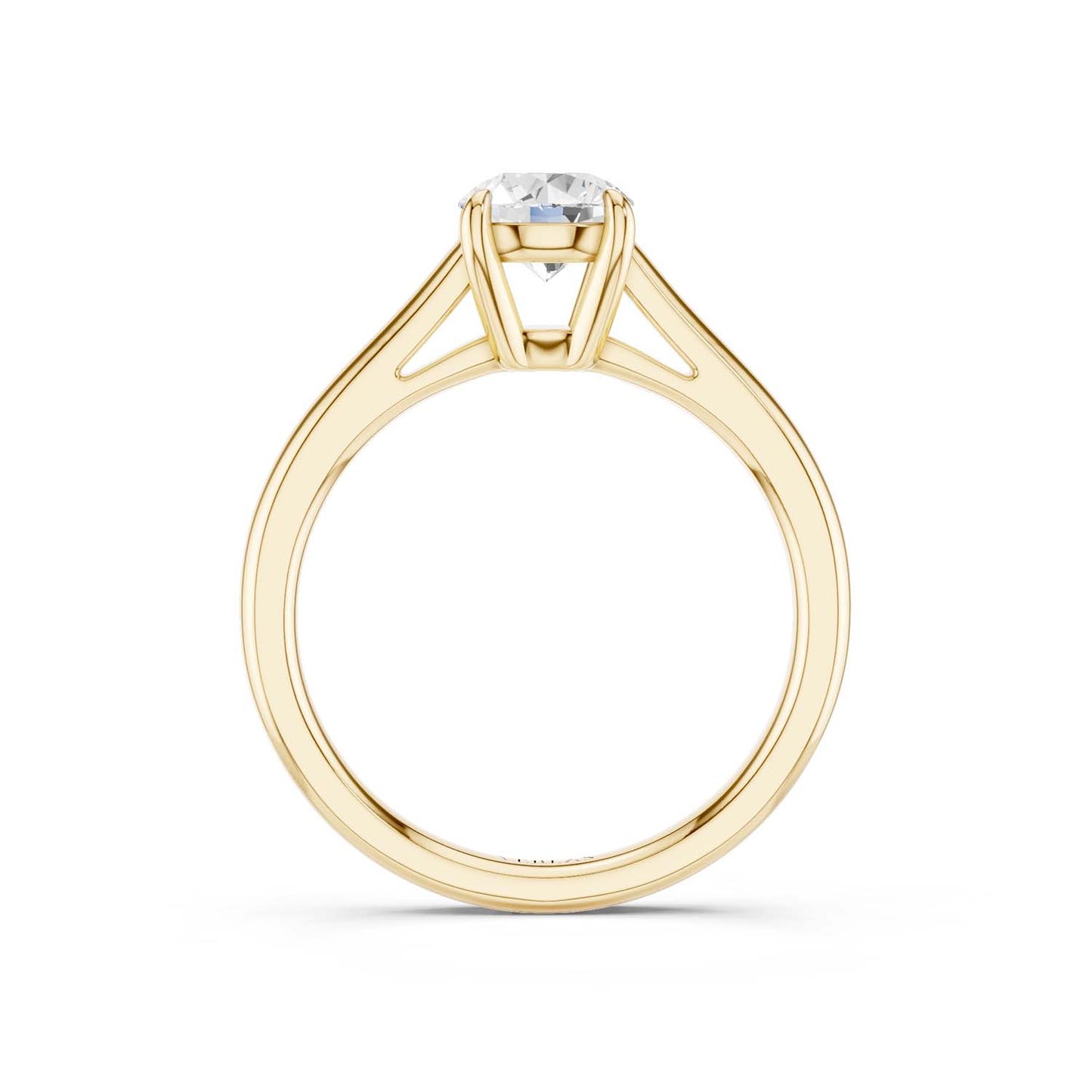 Round Iconic Ring Medium