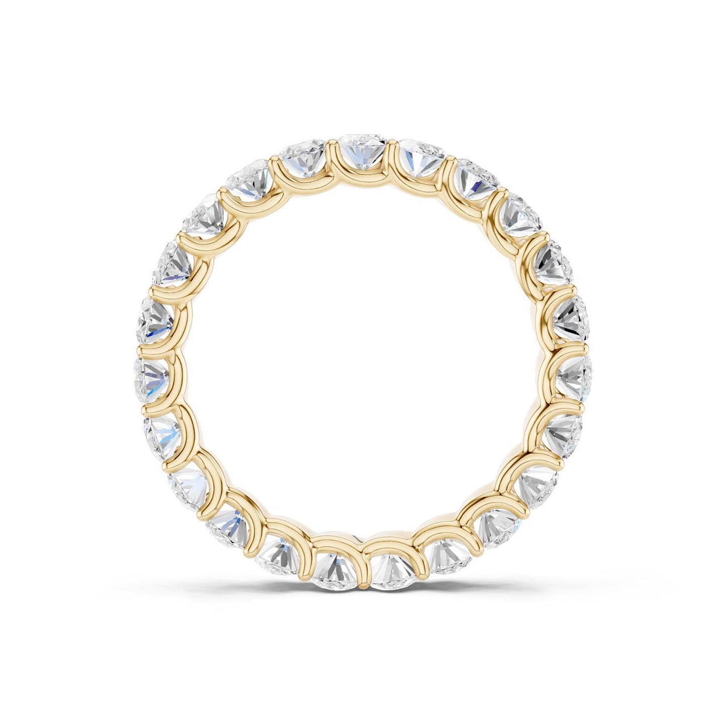 Eternal Ellipse Band
