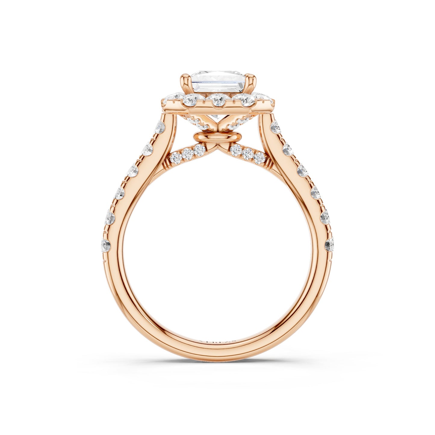 Signature Princess Halo Ring