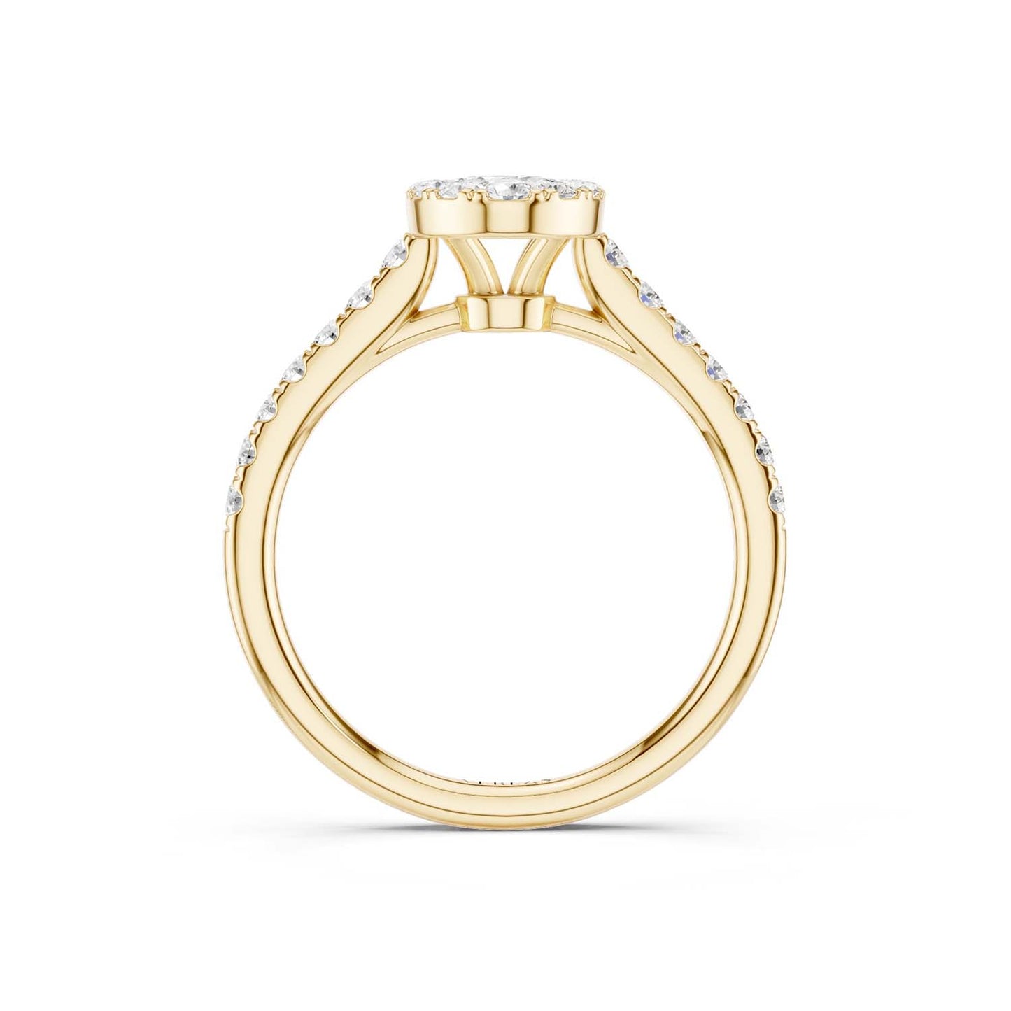 Signature Iconic Ellipse Halo Ring
