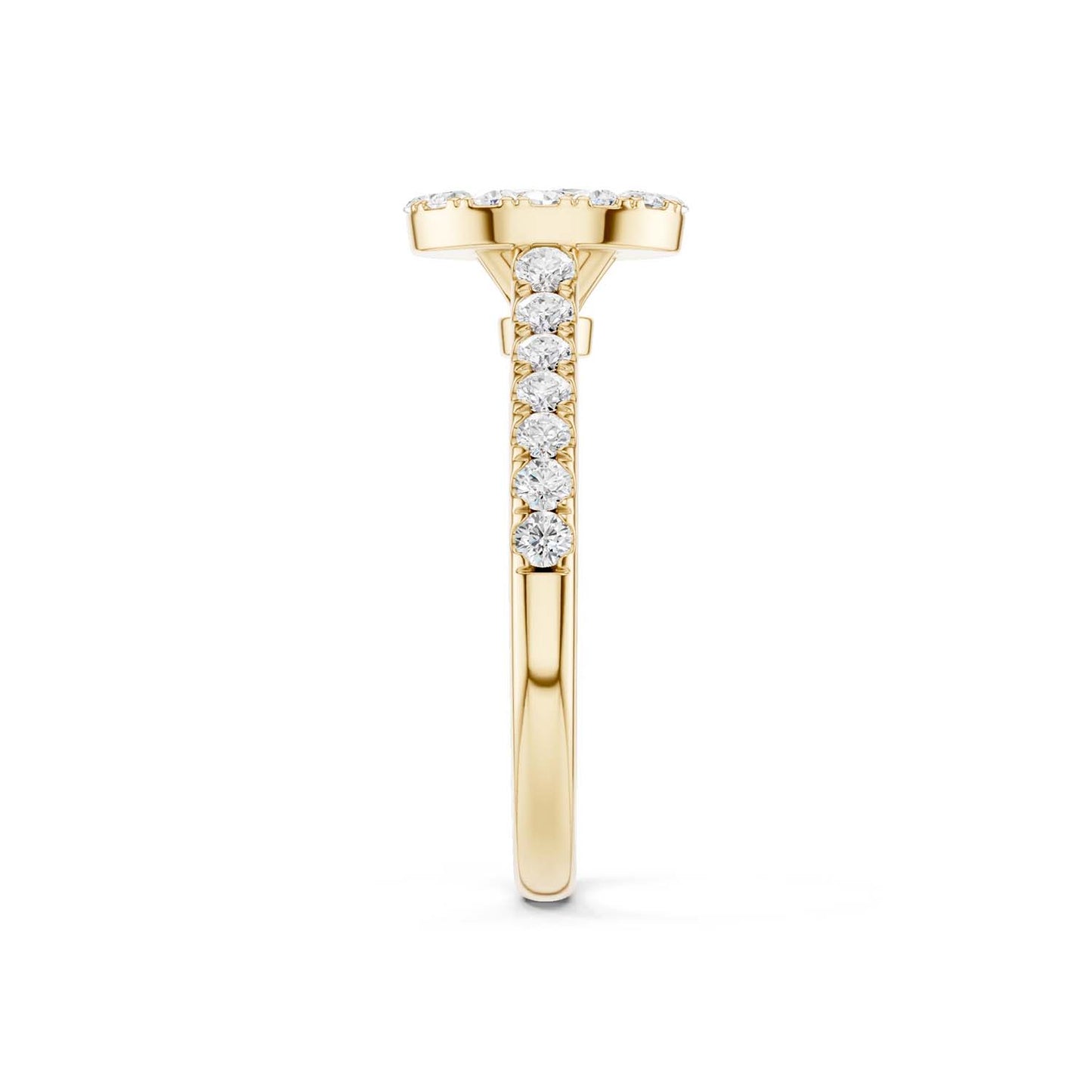 Signature Iconic Ellipse Halo Ring