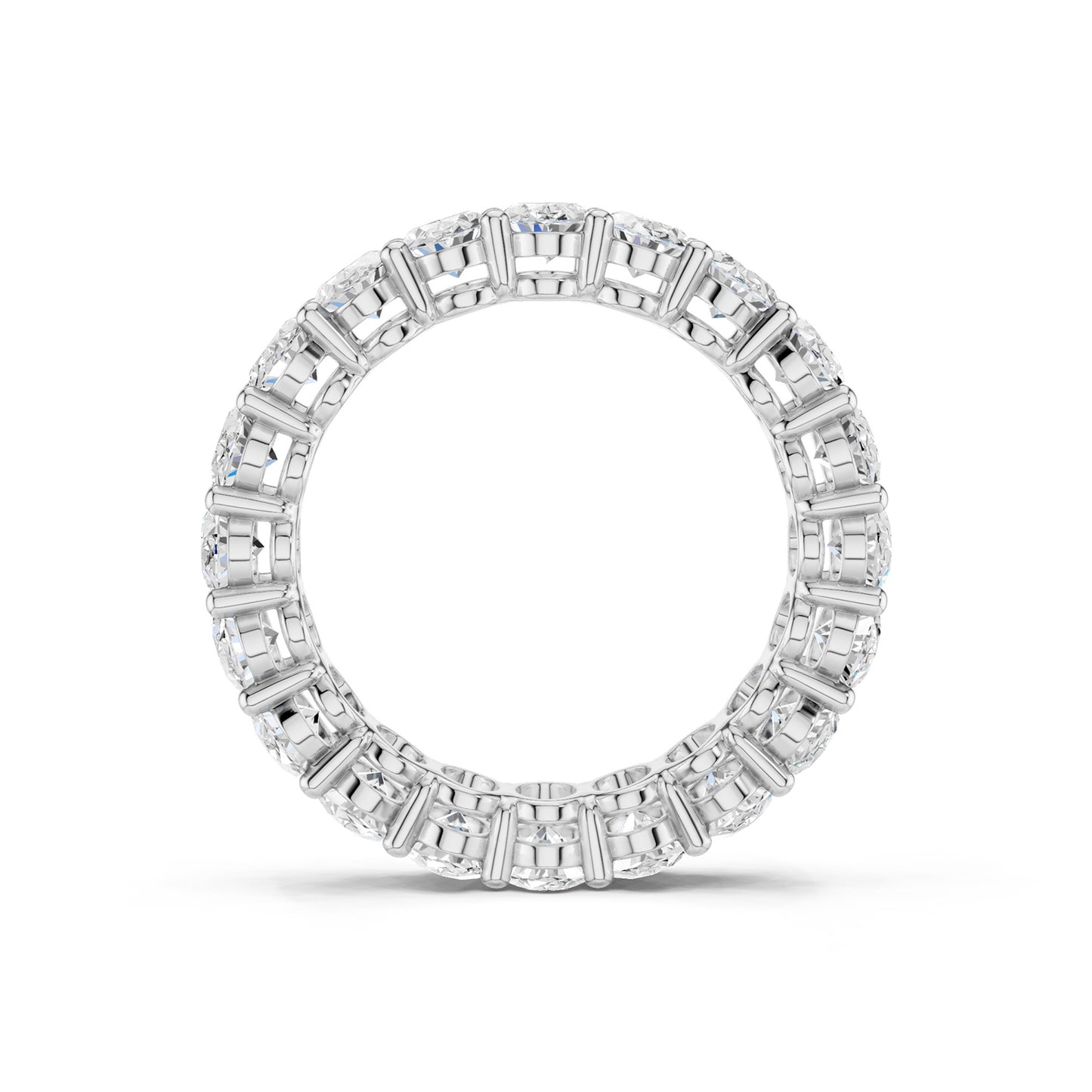 Ellipse Eternal Band