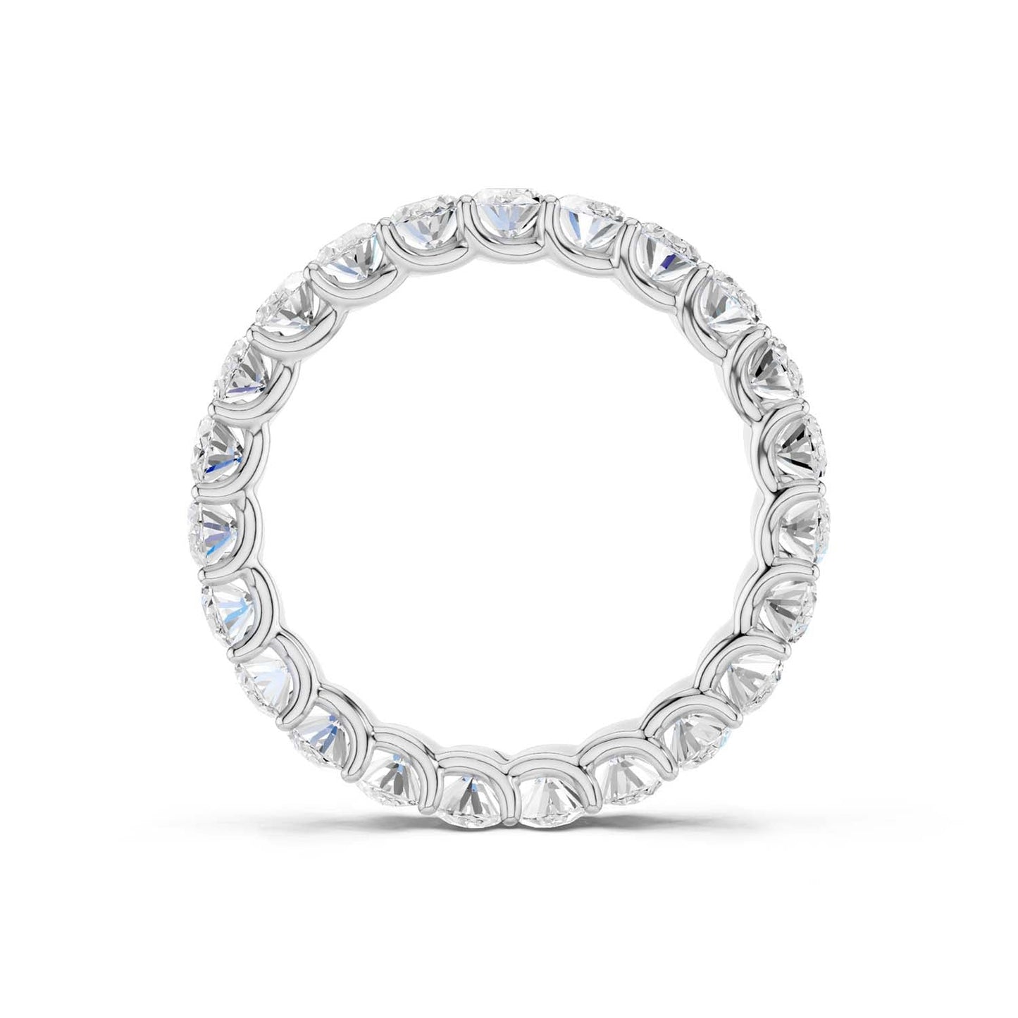 Eternal Ellipse Band
