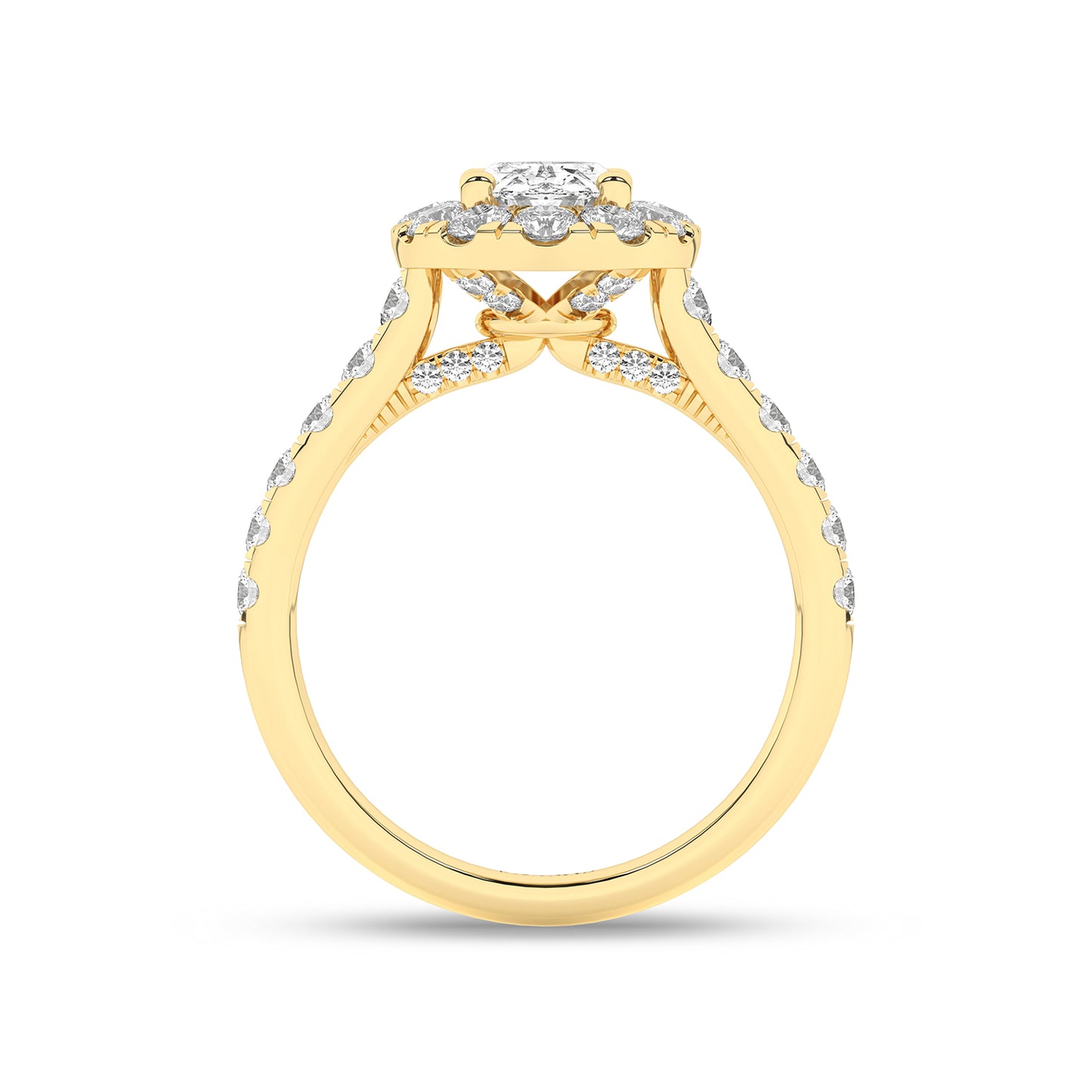 Signature Ellipse Halo Ring