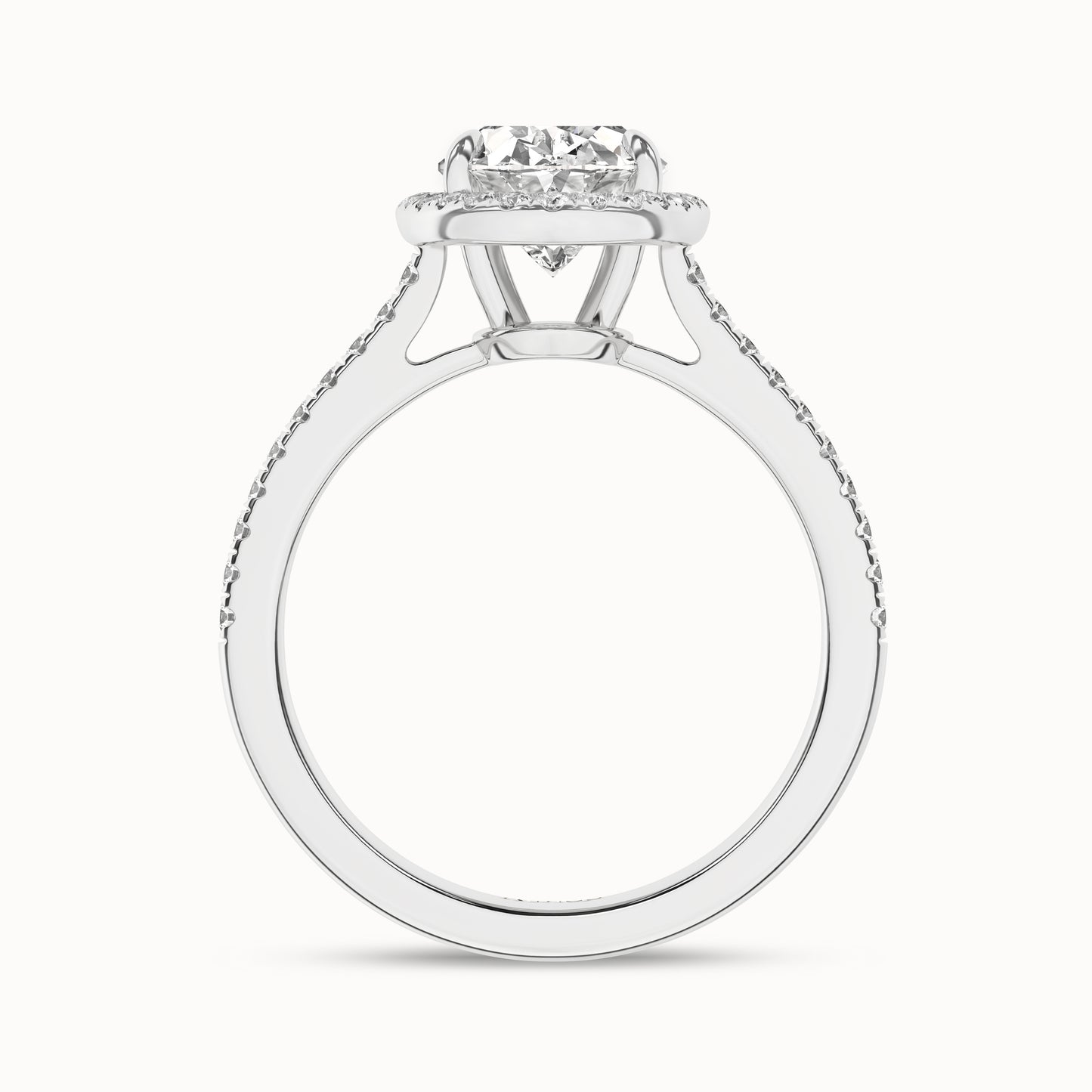 Ellipse Signature Halo Ring