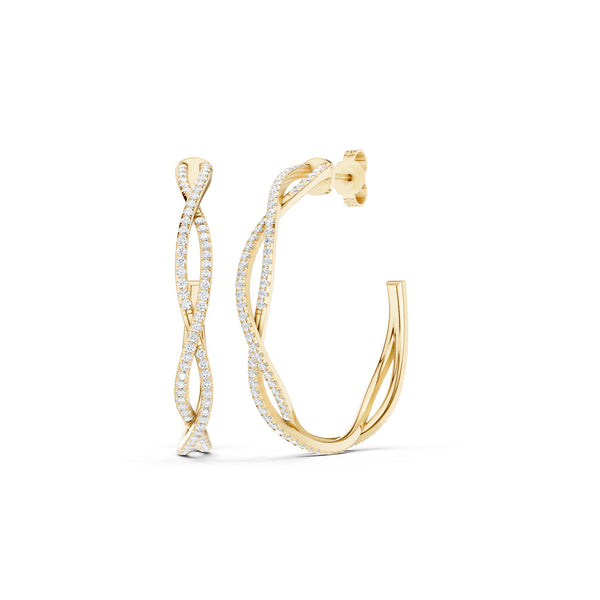 Entwined Hoops