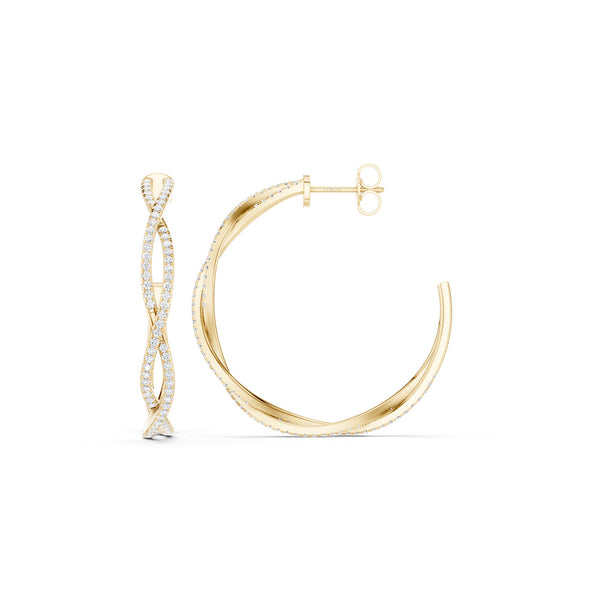 Entwined Hoops