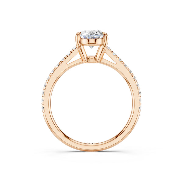 Ellipse Signature Ring