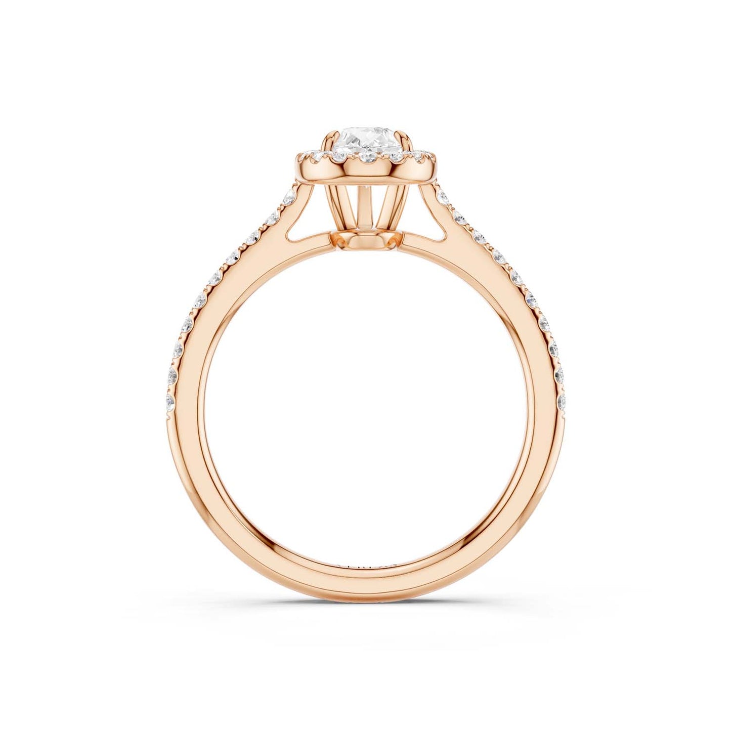 Dewdrop Signature Halo Ring