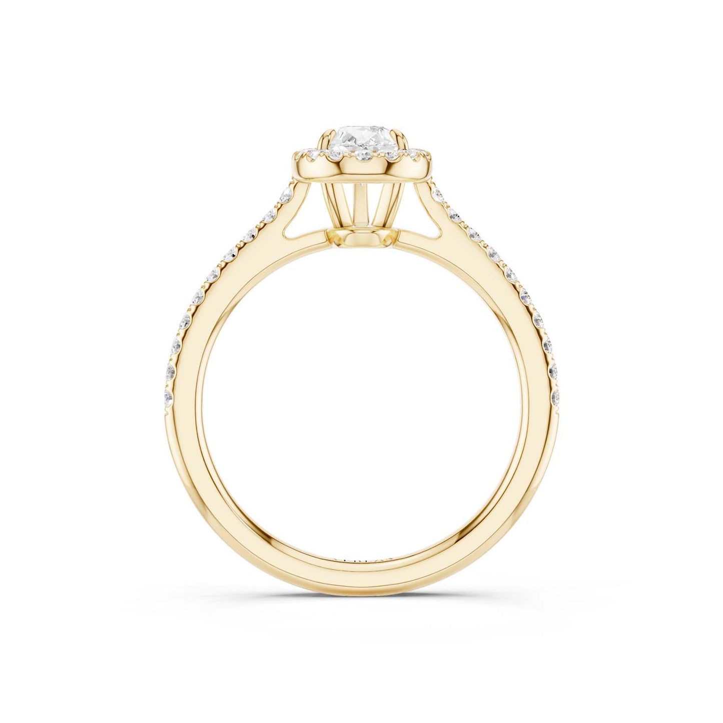 Dewdrop Signature Halo Ring