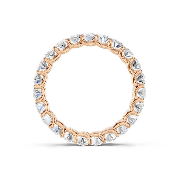 Eternal Ellipse Band