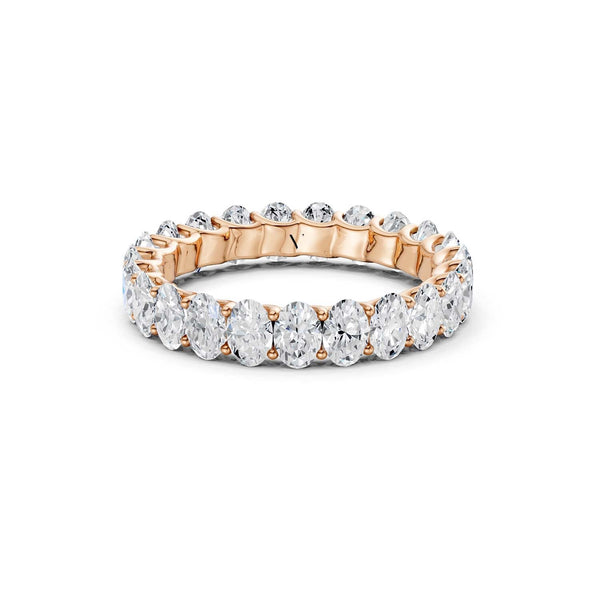 Eternal Ellipse Band