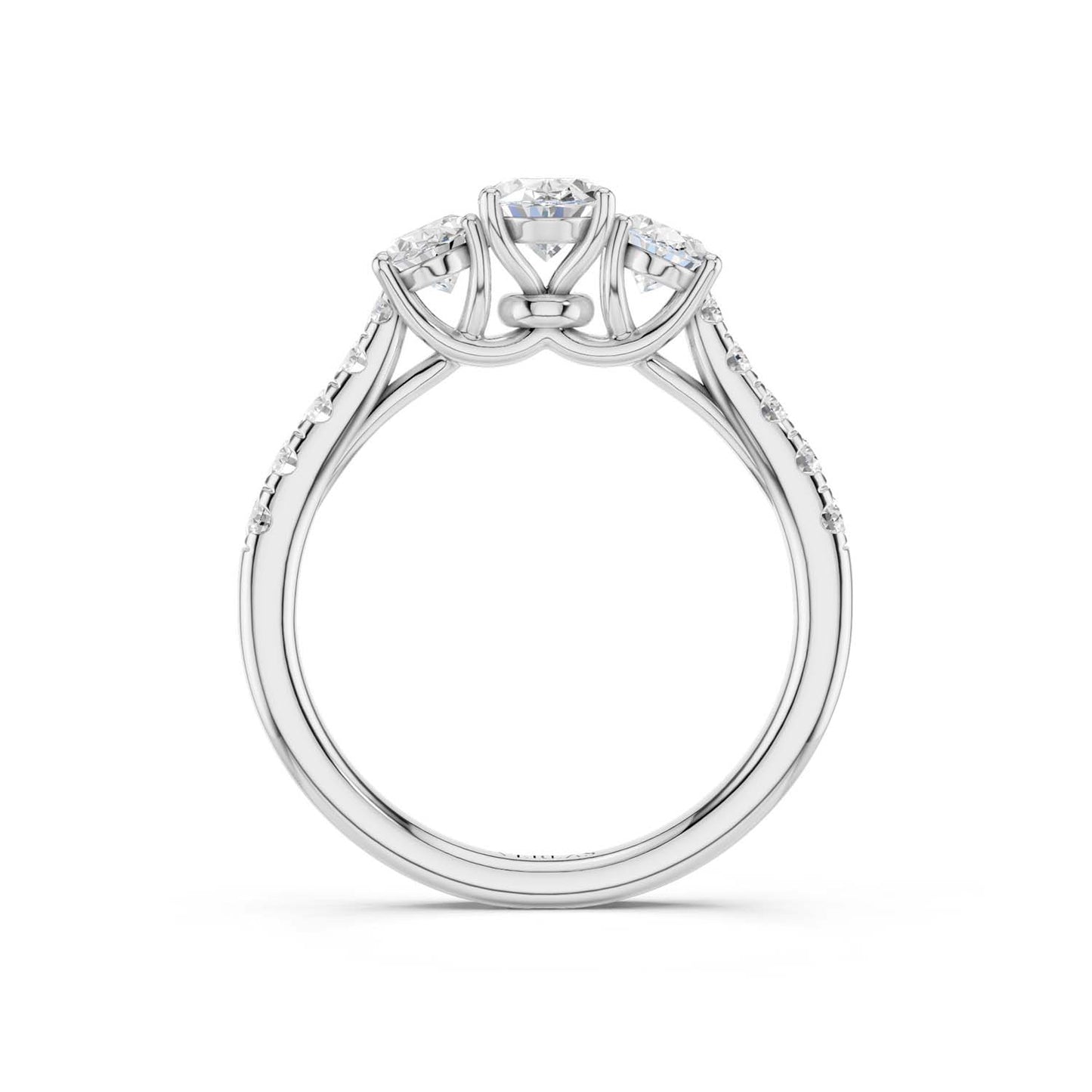 Embellished Ellipse Vows