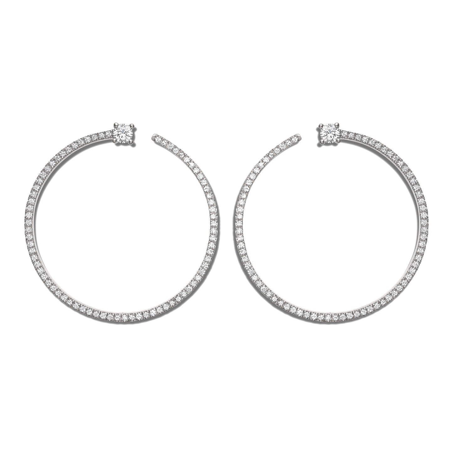 Shimmering Bardot Hoops