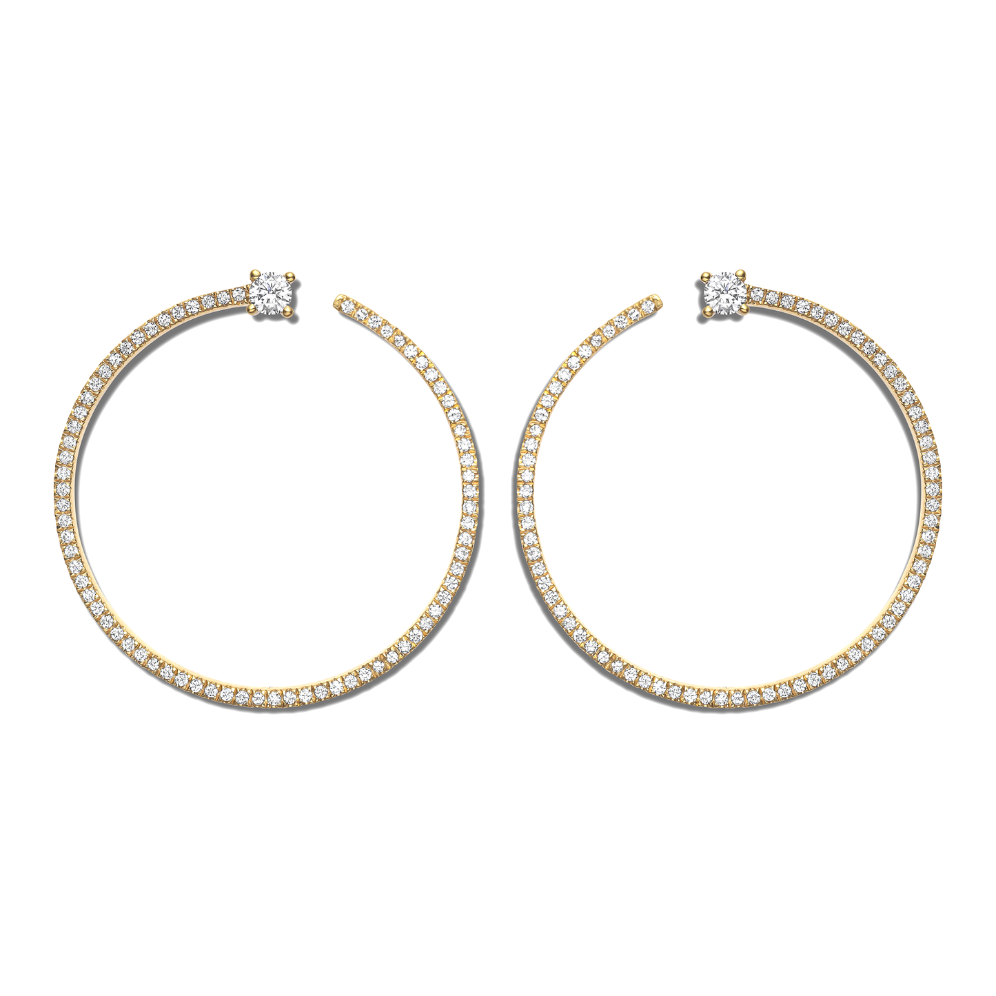 Shimmering Bardot Hoops