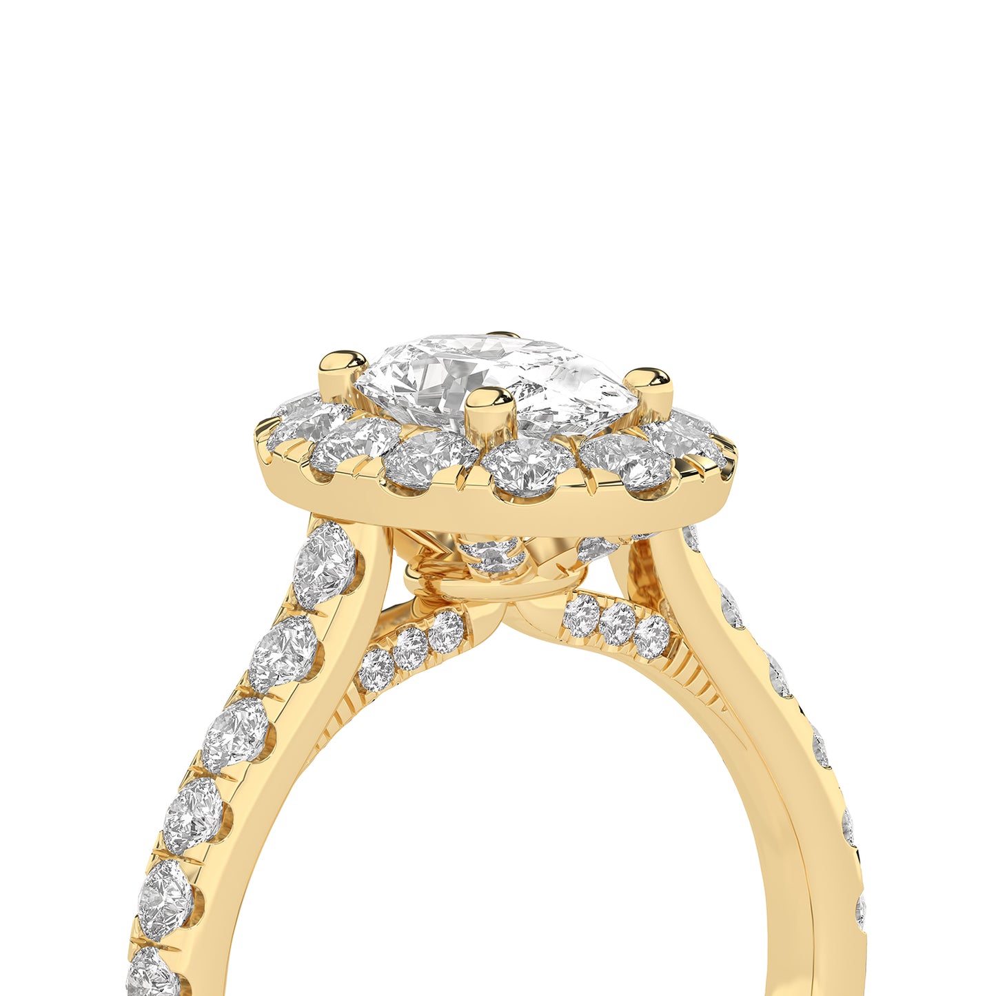 Signature Ellipse Halo Ring